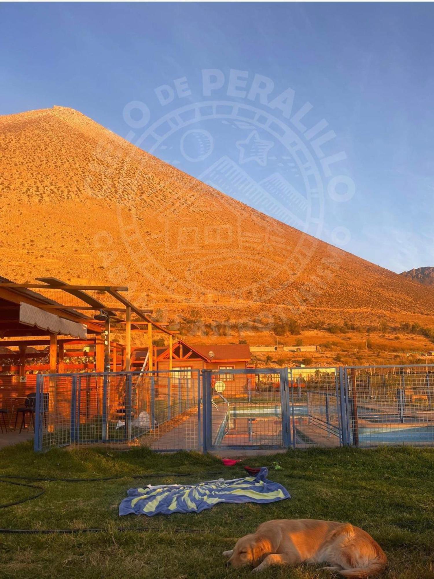 Cielo De Peralillo - Valle De Elqui Vicuna
