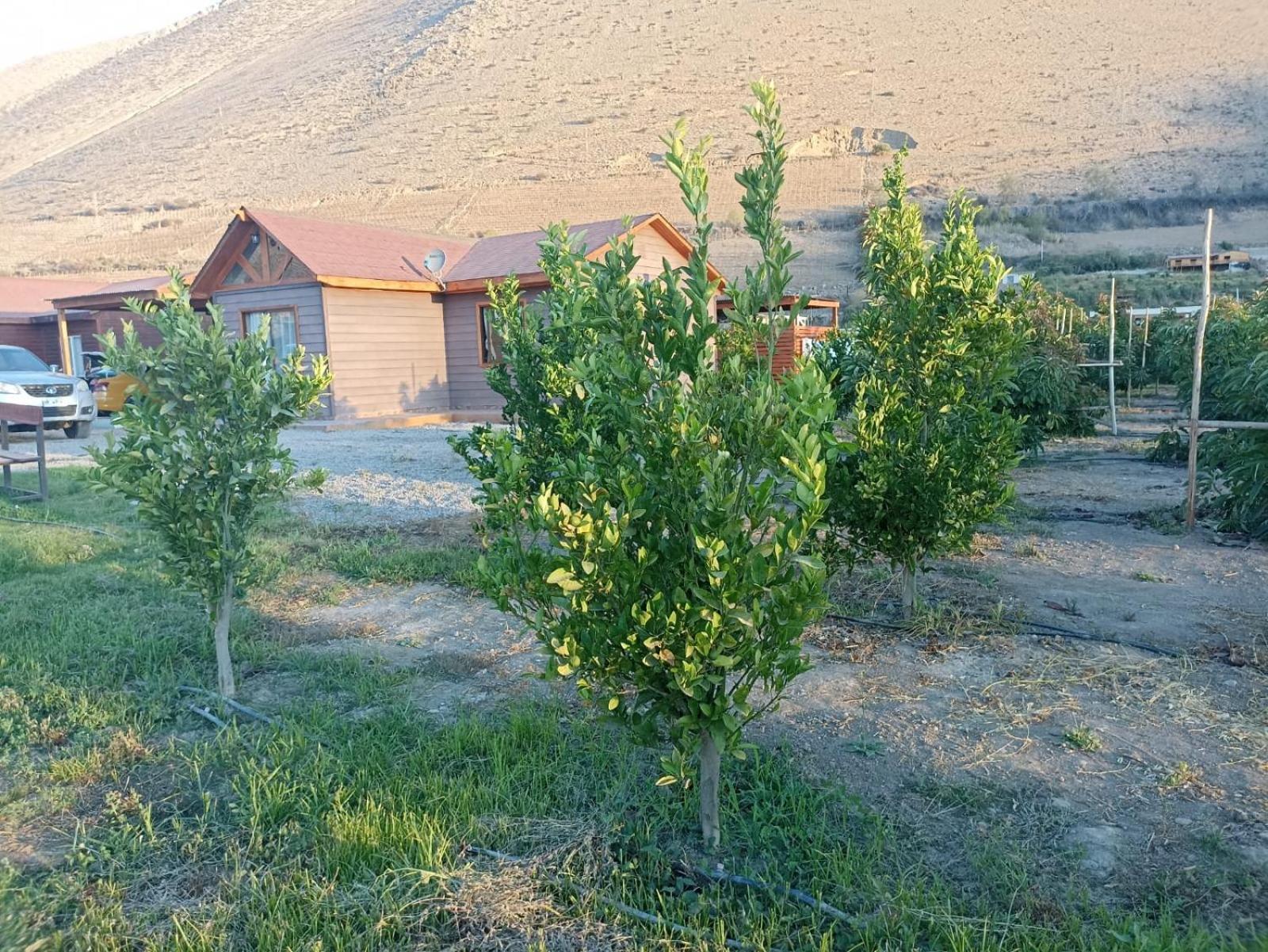 Holiday home Cielo De Peralillo - Valle De Elqui